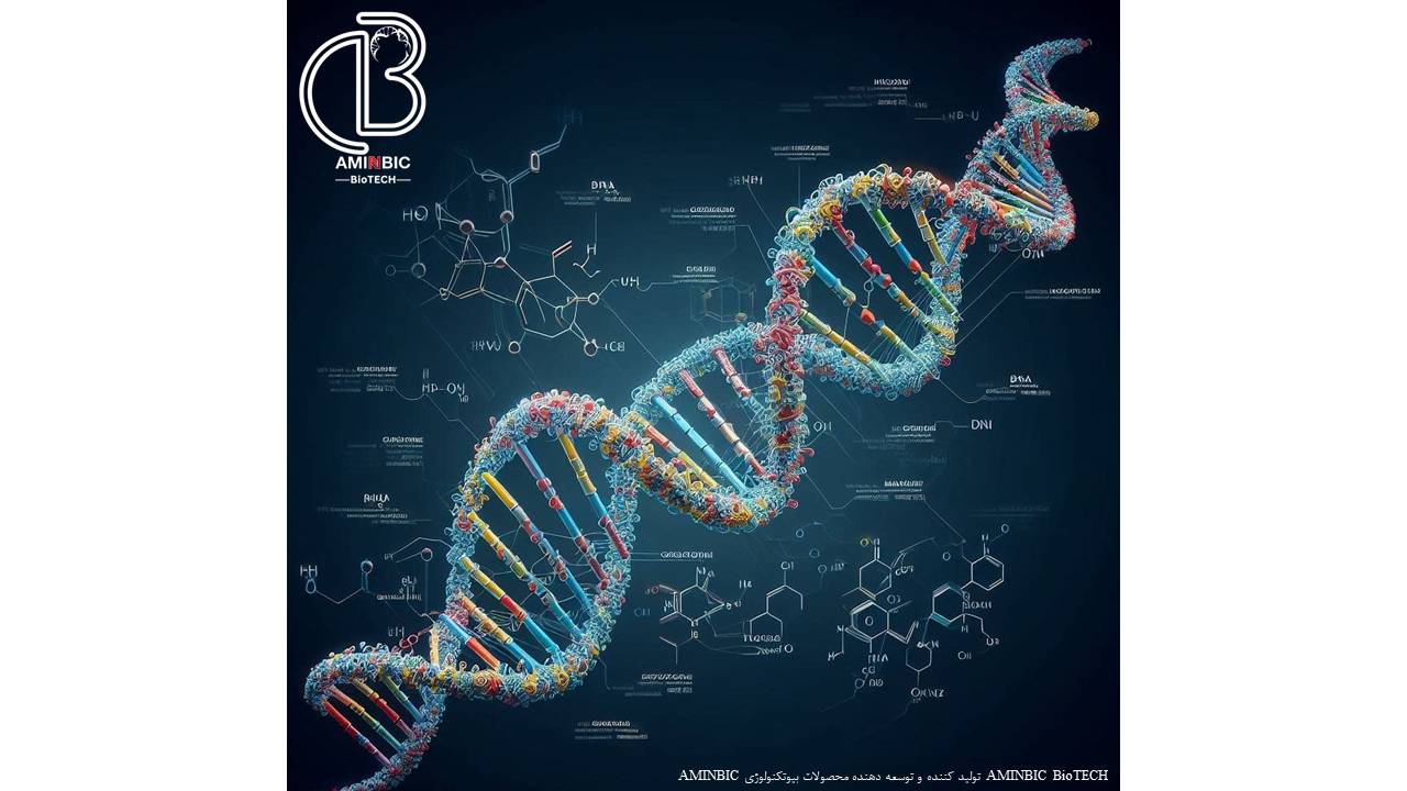 آشنایی با ساختار مولکول‌های زیستی DNA و RNA و تفاوت‌هایشان