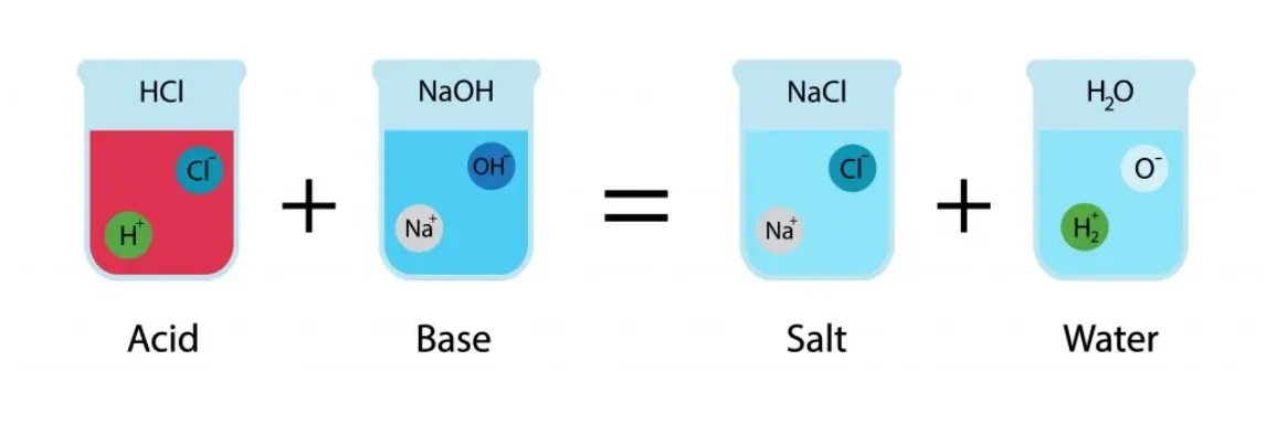 واکنش بین اسید و باز