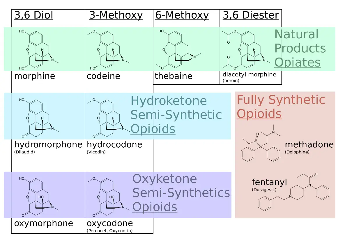 گروه های مختلف اوپیوئید